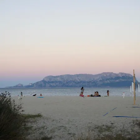 Amazing & Comfy - With Private Parking Apartment Olbia
